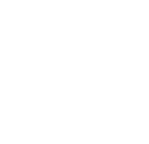 iconos-10